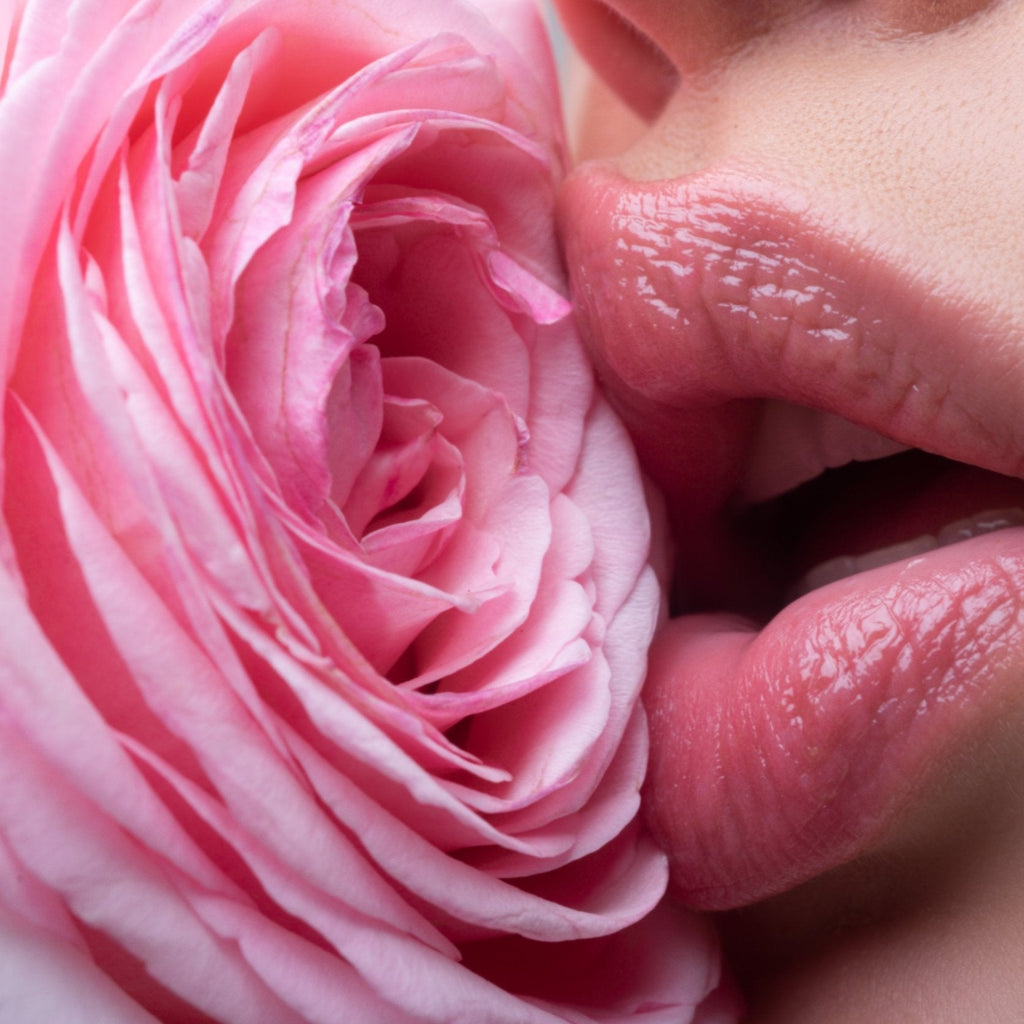Lips Like Morphine