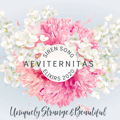 Aeviternitas (Rose, Peony, Wild Rose, Plum Blossom, Oriental Musk, Sandalwood, Strawberry, Labdanum)