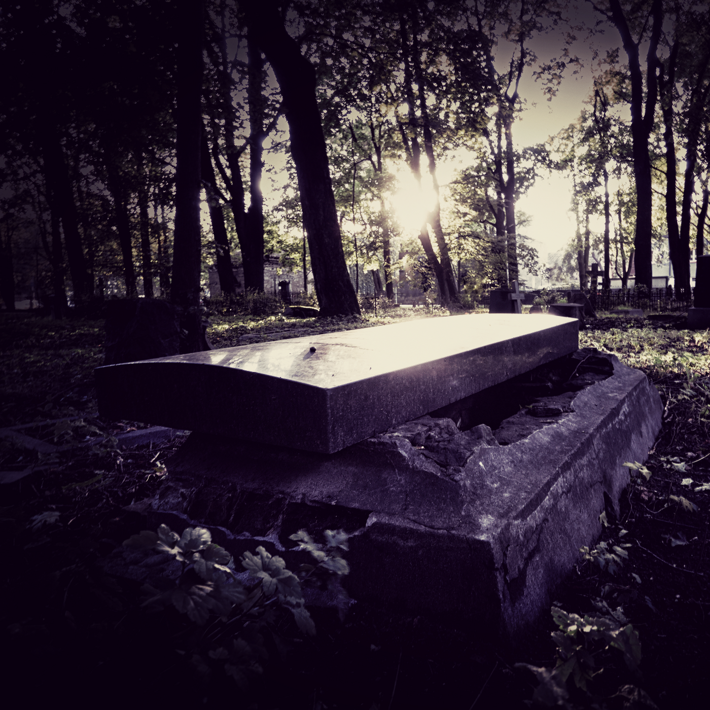 The Empty Grave (fresh dirt, wet grass, oak moss, weeping willow, rosewood coffin, pink lilac, rose, ylang, sweet decay)