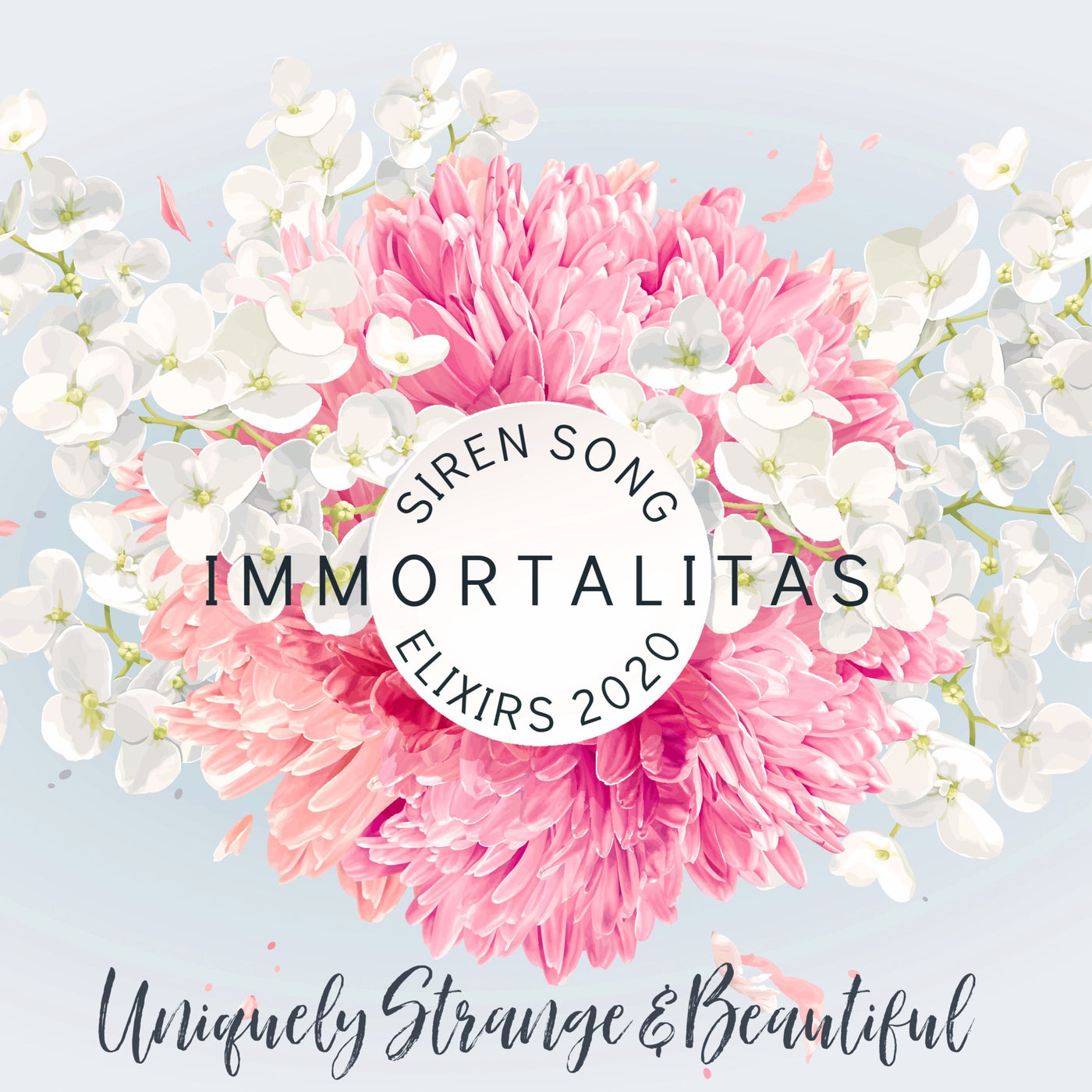 Immortalitas (Red Hibiscus, Peach Bellini, Mandarin, Tahitian Vanilla, Coconut Milk, Labdanum)