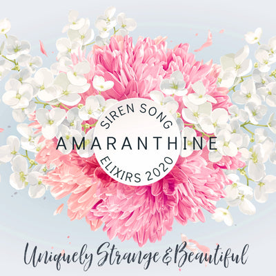 Amaranthine (Egyptian Jasmine, Orange Blossom, Rice Milk, Jasmine Milk, Tonka, Labdanum)