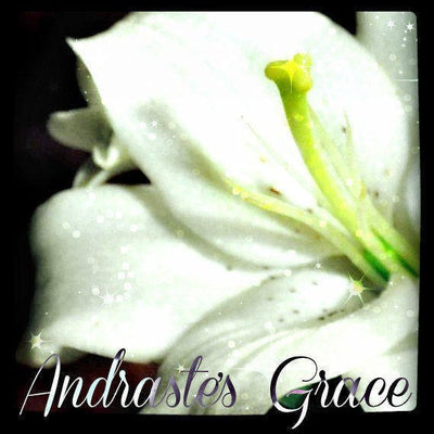 Andraste's Grace (white pumpkin, lily, lilac, eucalyptus, mint)